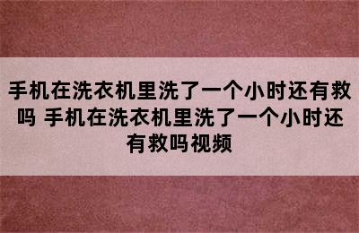 手机在洗衣机里洗了一个小时还有救吗 手机在洗衣机里洗了一个小时还有救吗视频